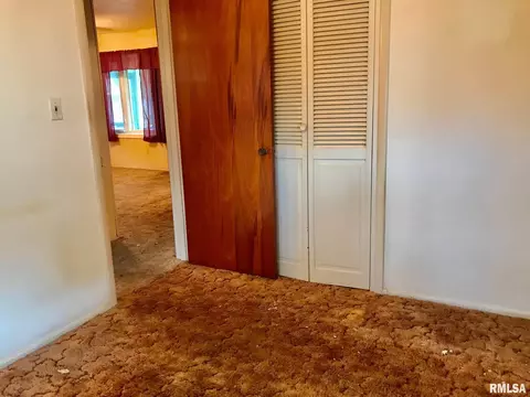 25 Hedge Dr, Springfield, IL 62702 photo 15