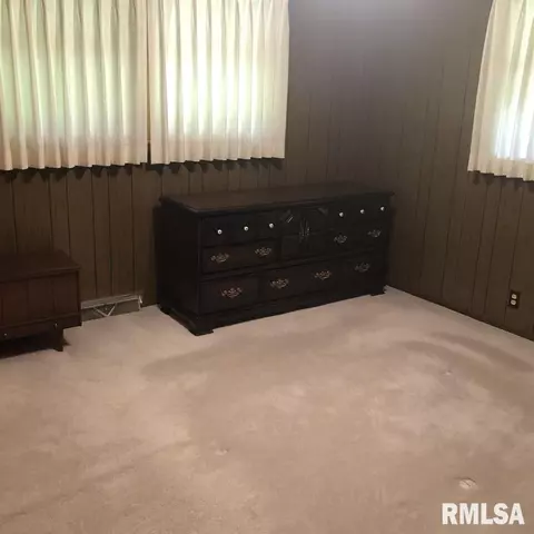 335 S Tower Rd, Dawson, IL 62520 photo 19