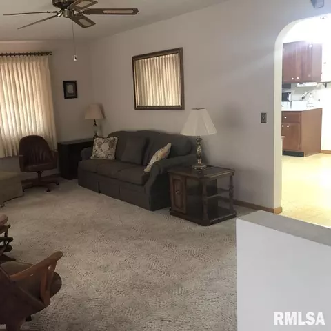 335 S Tower Rd, Dawson, IL 62520 photo 14