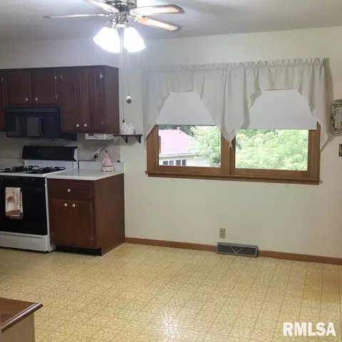 335 S Tower Rd, Dawson, IL 62520 photo 13