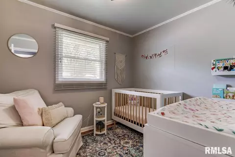 3615 Ivanhoe Dr, Springfield, IL 62703 photo 22