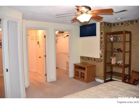 22 Chimney View Ln, Springfield, IL 62707 photo 12