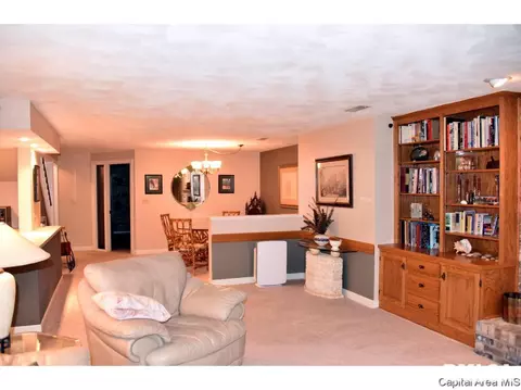22 Chimney View Ln, Springfield, IL 62707 photo 15