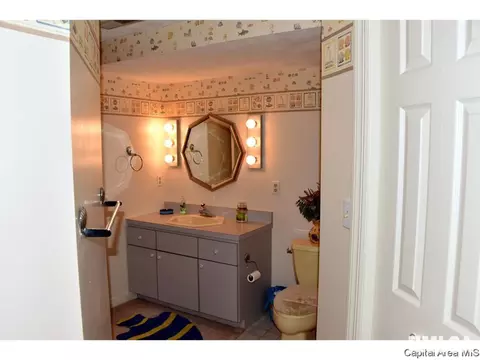 22 Chimney View Ln, Springfield, IL 62707 photo 13
