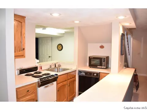 22 Chimney View Ln, Springfield, IL 62707 photo 16