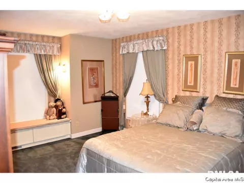 22 Chimney View Ln, Springfield, IL 62707 photo 9