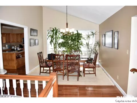 22 Chimney View Ln, Springfield, IL 62707 photo 4