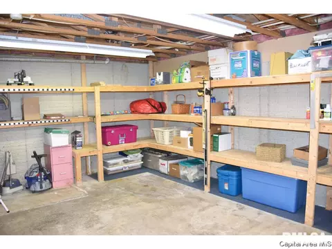 22 Chimney View Ln, Springfield, IL 62707 photo 20