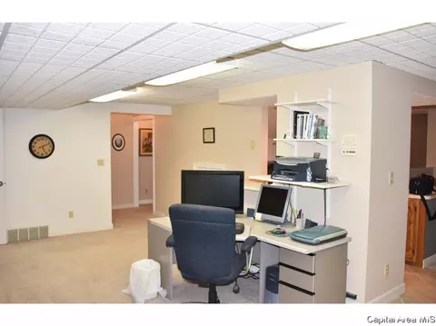 22 Chimney View Ln, Springfield, IL 62707 photo 17