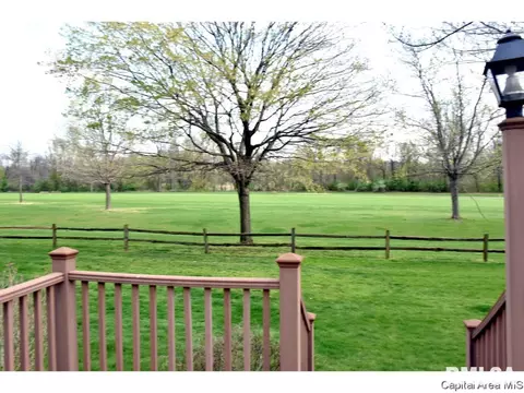 22 Chimney View Ln, Springfield, IL 62707 photo 23