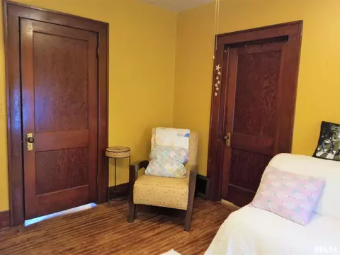 217 N Douglas Ave, Springfield, IL 62702 photo 23