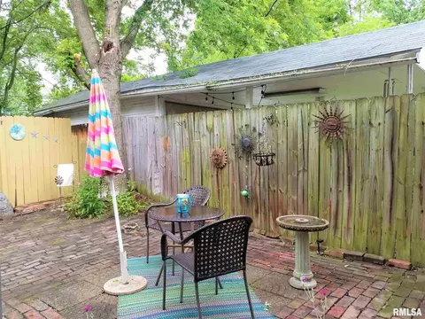 217 N Douglas Ave, Springfield, IL 62702 photo 29