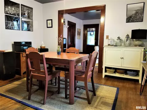 217 N Douglas Ave, Springfield, IL 62702 photo 8