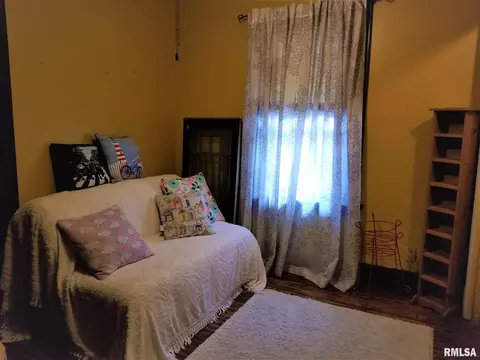217 N Douglas Ave, Springfield, IL 62702 photo 22