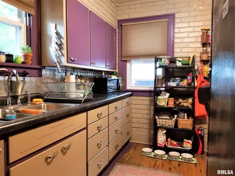 217 N Douglas Ave, Springfield, IL 62702 photo 17
