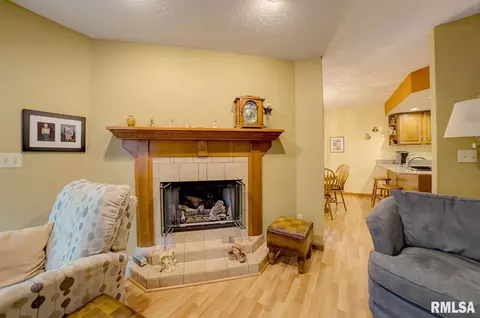 12 Holiday Rd, Springfield, IL 62702 photo 8