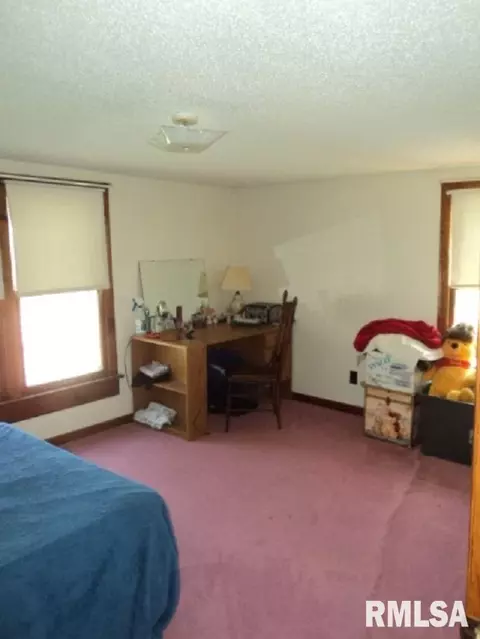 54 East St, Saint Augustine, IL 61474 photo 8