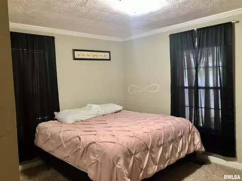2012 S Bates Ave, Springfield, IL 62704 photo 19
