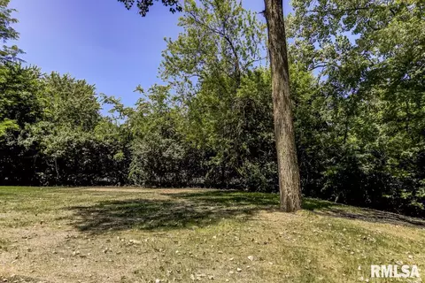 8015 Little Eagle Dr, Springfield, IL 62707 photo 42