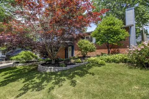 1709 W Jackson St, Springfield, IL 62704 photo 3