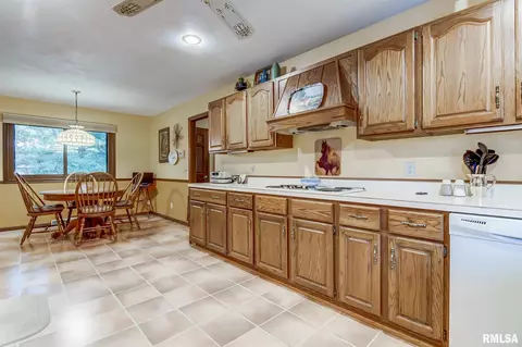 1110 Koke Mill Rd, Springfield, IL 62711 photo 9