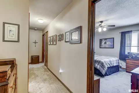 8 Delano Ln, Springfield, IL 62703 photo 20