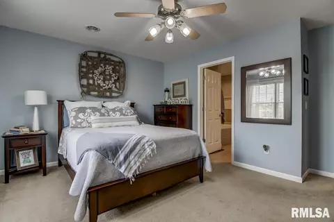 2009 Cory Dr, Springfield, IL 62702 photo 15