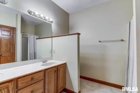 2890 Hazlett Ln, Springfield, IL 62707 photo 46