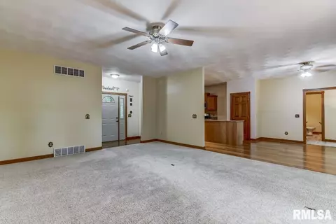 2890 Hazlett Ln, Springfield, IL 62707 photo 43
