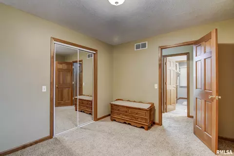 923 Mesa Dr, Chatham, IL 62629 photo 27