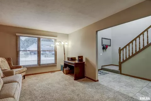 923 Mesa Dr, Chatham, IL 62629 photo 12
