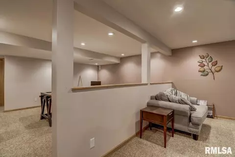 923 Mesa Dr, Chatham, IL 62629 photo 32