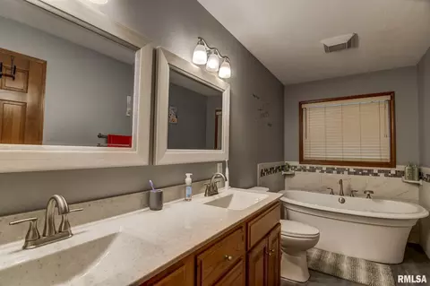 923 Mesa Dr, Chatham, IL 62629 photo 21