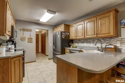 923 Mesa Dr, Chatham, IL 62629 photo 7