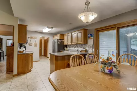 923 Mesa Dr, Chatham, IL 62629 photo 8