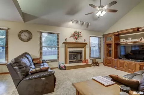 923 Mesa Dr, Chatham, IL 62629 photo 30