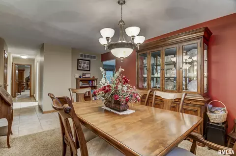 923 Mesa Dr, Chatham, IL 62629 photo 15
