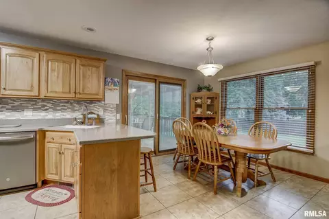 923 Mesa Dr, Chatham, IL 62629 photo 10