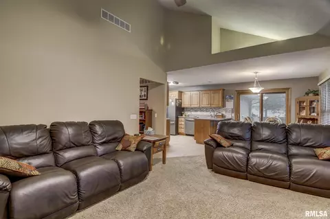 923 Mesa Dr, Chatham, IL 62629 photo 29