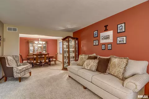 923 Mesa Dr, Chatham, IL 62629 photo 11