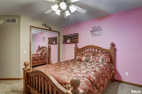 923 Mesa Dr, Chatham, IL 62629 photo 23