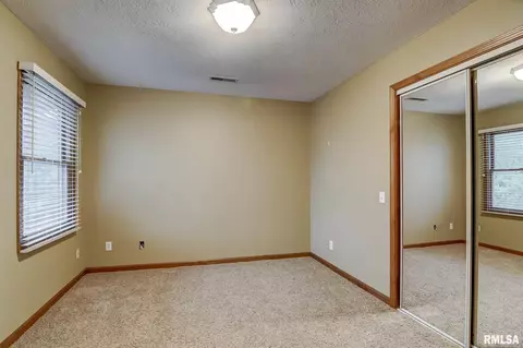 923 Mesa Dr, Chatham, IL 62629 photo 28