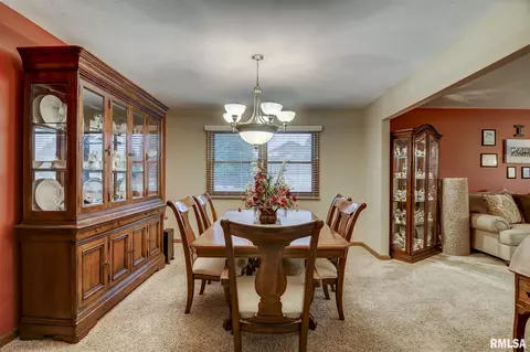 923 Mesa Dr, Chatham, IL 62629 photo 16
