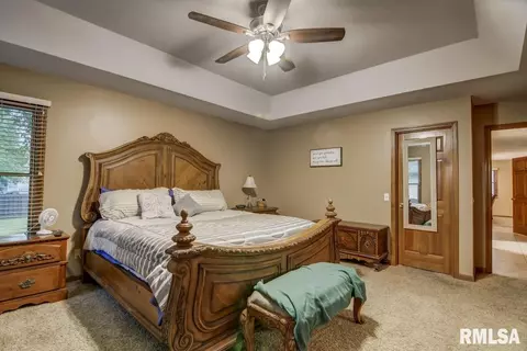 923 Mesa Dr, Chatham, IL 62629 photo 18