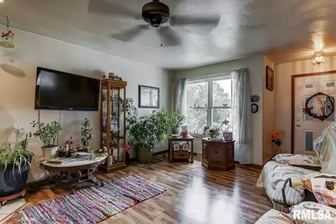 3043 Biscayne Dr, Springfield, IL 62707 photo 3