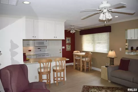 471 S Durkin Dr, Springfield, IL 62704 photo 2