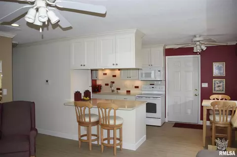 471 S Durkin Dr, Springfield, IL 62704 photo 5