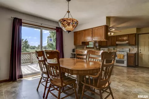 1323 4th St, Pawnee, IL 62558 photo 9