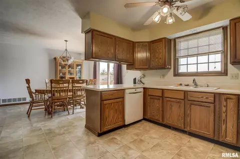 1323 4th St, Pawnee, IL 62558 photo 11