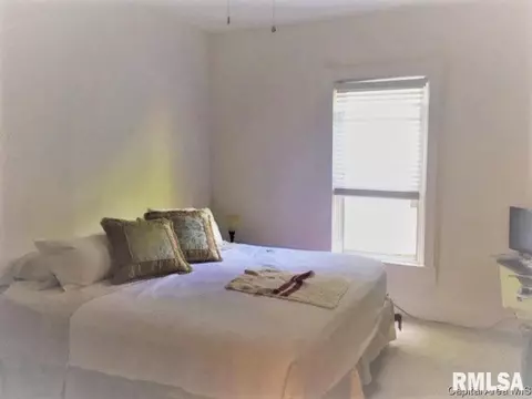1151 N 3rd St, Springfield, IL 62702 photo 11